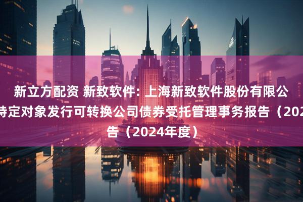 新立方配资 新致软件: 上海新致软件股份有限公司向不特定对象发行可转换公司债券受托管理事务报告(2024年度)