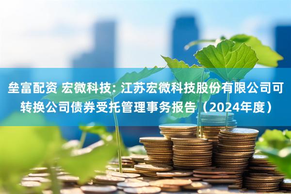 垒富配资 宏微科技: 江苏宏微科技股份有限公司可转换公司债券受托管理事务报告(2024年度)