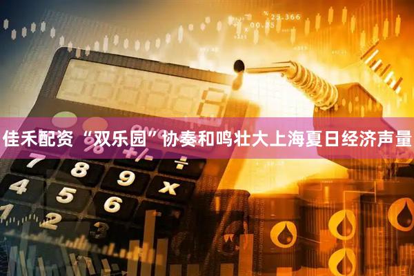 佳禾配资 “双乐园”协奏和鸣壮大上海夏日经济声量