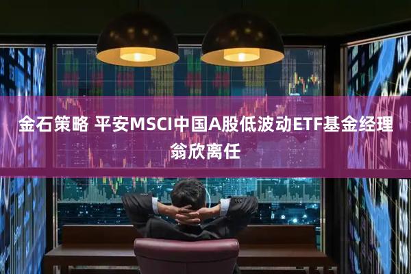 金石策略 平安MSCI中国A股低波动ETF基金经理翁欣离任