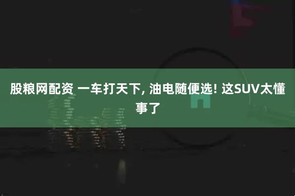 股粮网配资 一车打天下, 油电随便选! 这SUV太懂事了