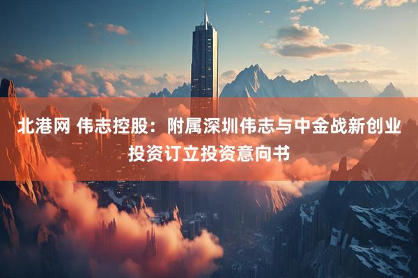 北港网 伟志控股：附属深圳伟志与中金战新创业投资订立投资意向书