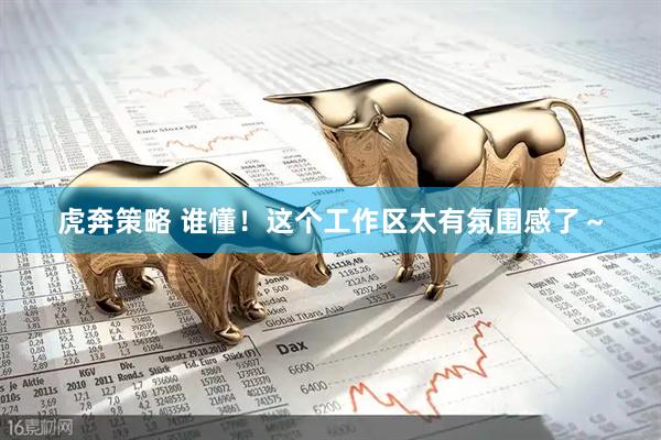 虎奔策略 谁懂！这个工作区太有氛围感了～