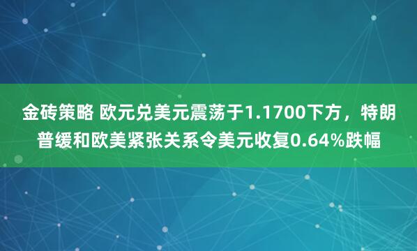 金砖策略 欧元兑美元震荡于1.1700下方，特朗普缓和欧美紧张关系令美元收复0.64%跌幅